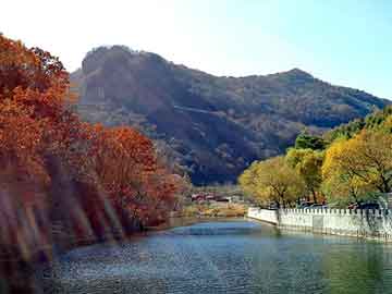 大嶺山最新案件深度解析與觀點闡述