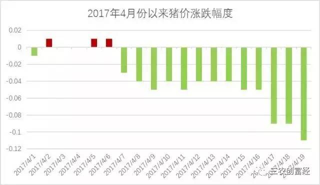 主人公小明的友情之旅，今日豬價(jià)行情揭秘與趣事分享