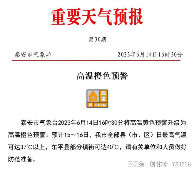 巷弄深處的驚喜之旅，緊急最新地址揭秘特色小店