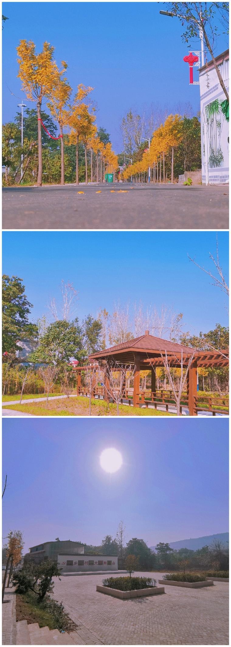 美麗鄉(xiāng)村建設(shè)最新規(guī)劃，巷弄深處的獨特風(fēng)情展示