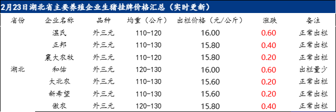 湖北生豬價(jià)格最新動(dòng)態(tài)更新，最新行情分析