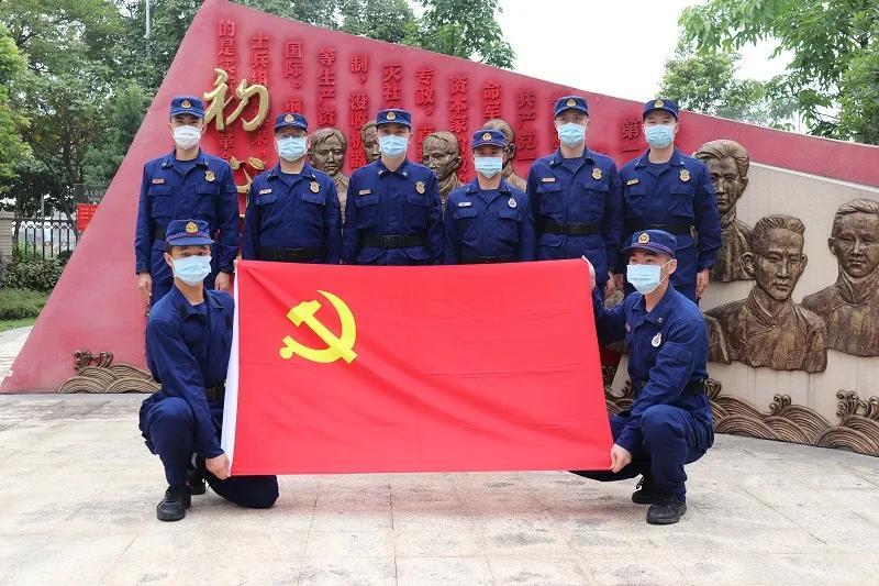 肺炎最新疫情觀點論述，疫情動態(tài)與應對策略分析