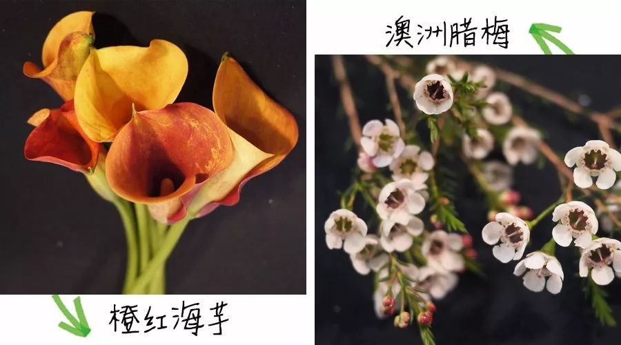 最新款巧克力花束，擁抱變化，甜蜜塑造自信與成就