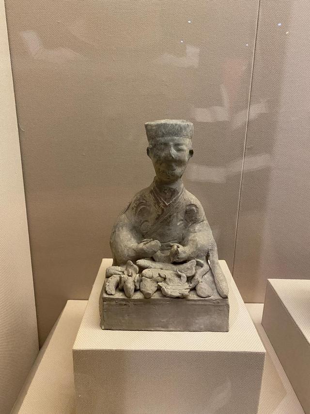龜類保護(hù)與發(fā)展政策，共創(chuàng)生態(tài)新紀(jì)元，保護(hù)與發(fā)展并重