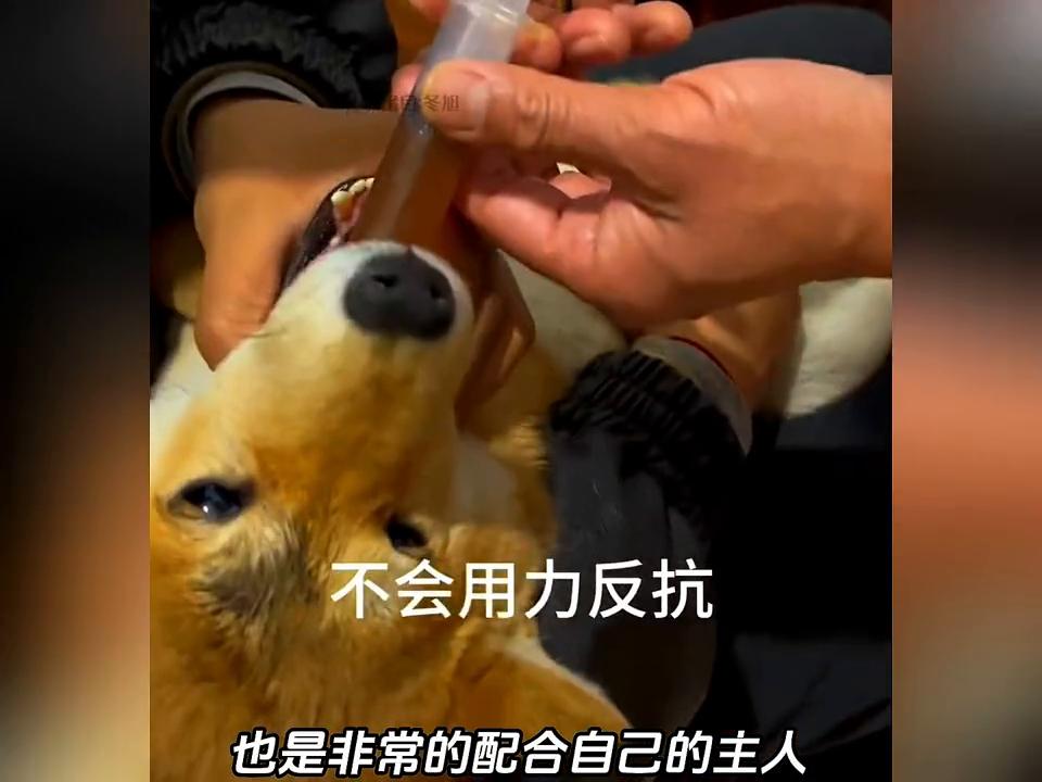 大福最新天氣及氣象變化多元觀點探討