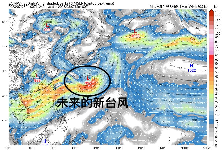 逆風(fēng)中的力量與美，臺風(fēng)夜晚的勵志故事與變化之美