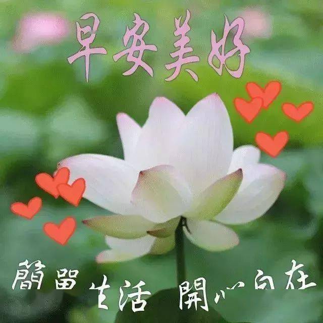 最新溫馨早安祝福圖片，傳遞溫馨的早晨問候與情感表達