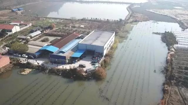 蘭溪最新貼吧揭秘，巷弄深處的美食秘境——探訪小巷中的特色小吃店