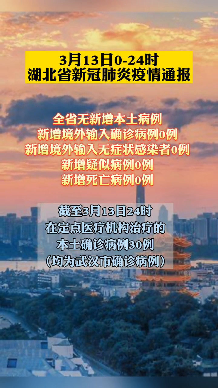湖北肺炎疫情最新更新，動態(tài)與進(jìn)展