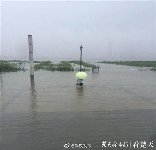 五金交電 第694頁