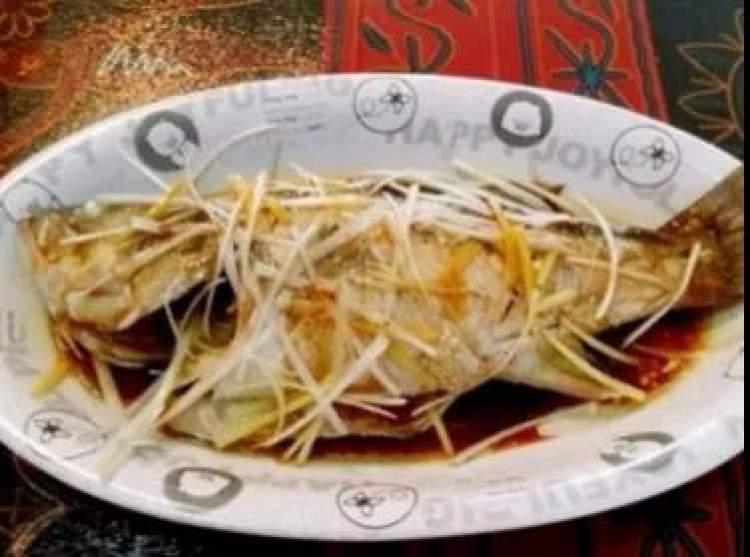 飯小白最新版深度解析，用戶體驗與功能探討
