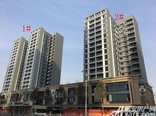 凱朝雅園最新動(dòng)態(tài)，變化中的學(xué)習(xí)，自信與成就的力量展現(xiàn)