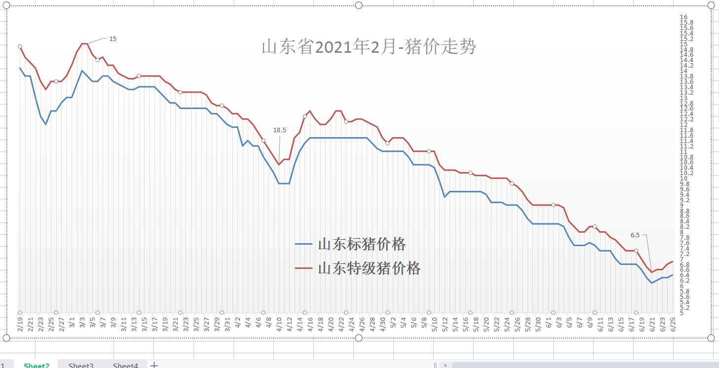 山東最新豬價明日行情分析