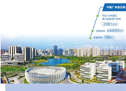 中新廣州知識城最新動態(tài)，日常趣事與情感紐帶
