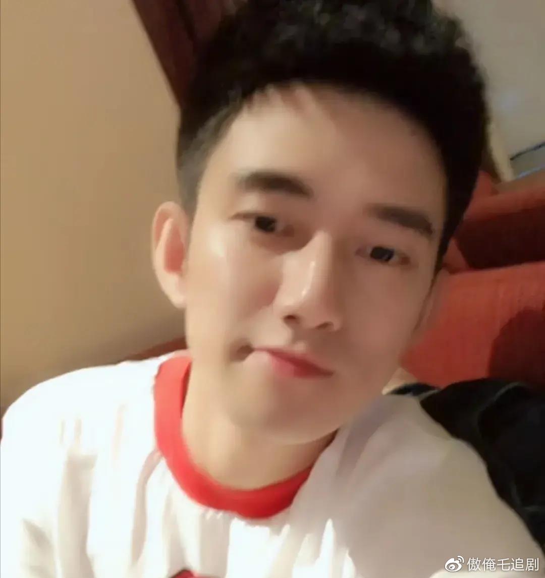 阿哲最新退網(wǎng)深度解析與觀點(diǎn)闡述，探究背后的原因與影響