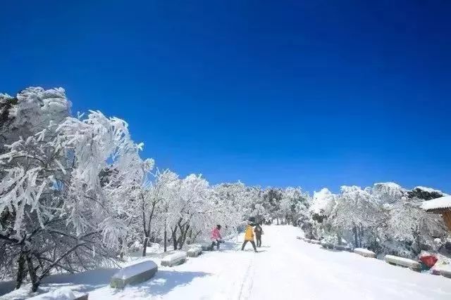 潤滑油 第738頁
