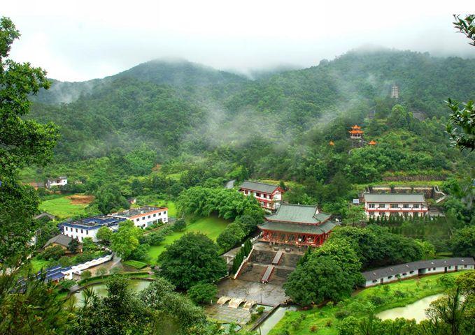 花都科技新動向，璀璨科技點亮新生活