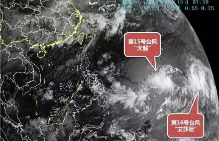 天鵒臺(tái)風(fēng)最新動(dòng)態(tài)及防御應(yīng)對指南，初學(xué)者與進(jìn)階用戶必備知識(shí)