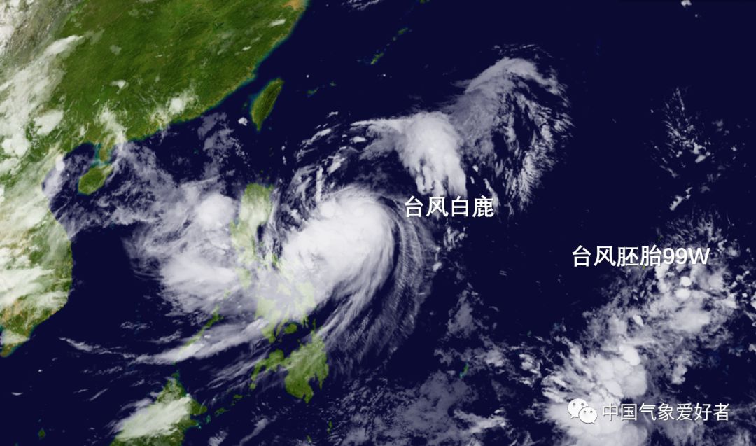 臺風(fēng)天鵒，探索自然美景的輕松之旅最新報道