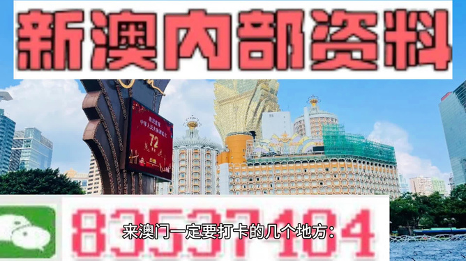 新澳精準(zhǔn)資料內(nèi)部資料,數(shù)據(jù)資料解釋落實(shí)_智能版LMB838.82