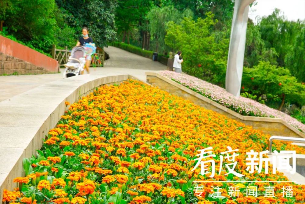 2024新奧門免費(fèi)資料,動態(tài)詞語解析_未來版ENH750.8