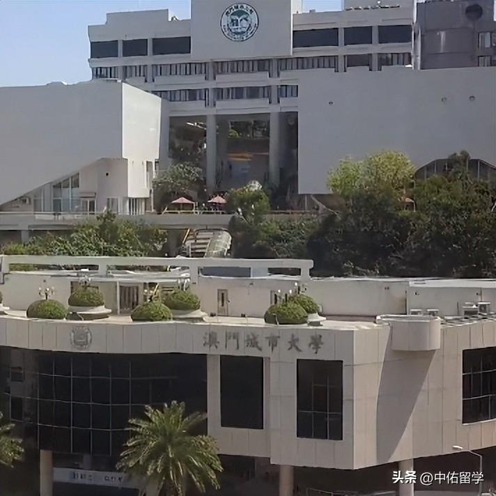 2024新澳門精準免費大全,綜合計劃賞析_大師版NTH756.38