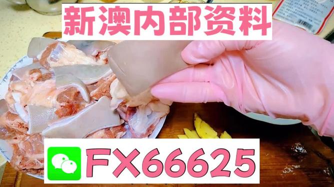 新澳精準(zhǔn)資料免費(fèi)提供267期,動(dòng)態(tài)詞語(yǔ)解析_神器版XSD682.43