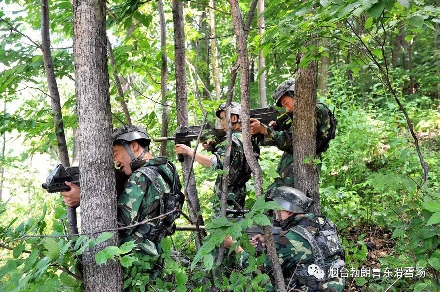 2023年澳門特馬今晚開碼,素材動態(tài)方案解答_速成版CSY880.77