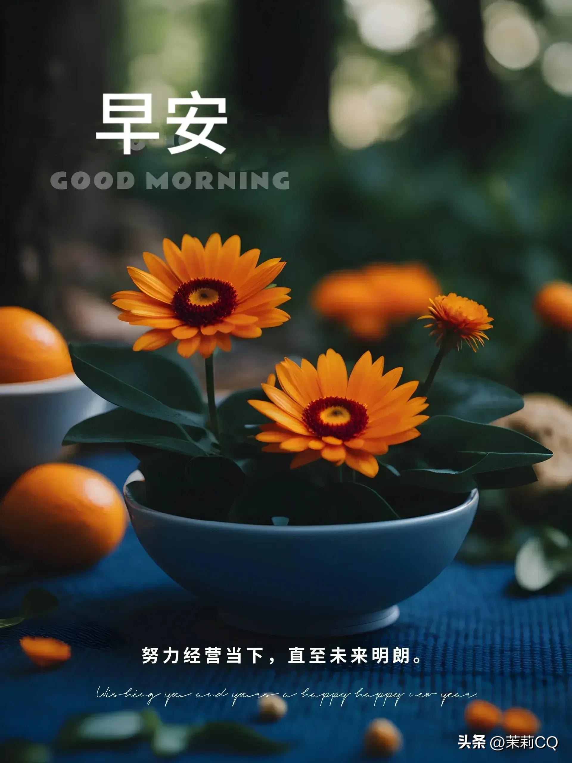 2024年天天彩免費(fèi)資料,動(dòng)態(tài)詞語解析_標(biāo)準(zhǔn)版COI636.86