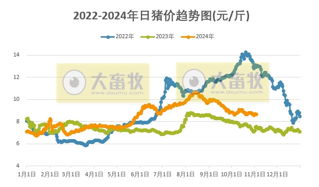 今日最新豬價漲跌動態(tài)，變化中的學習助力自信與夢想的實現(xiàn)