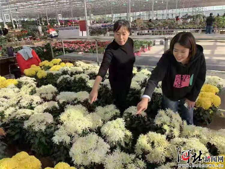 永清新聞聚焦發(fā)展動(dòng)態(tài)，多元解讀最新資訊