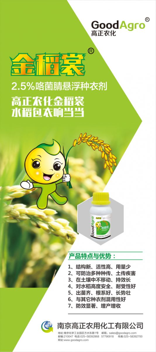金稻最新款，小巷中的美食秘境探索