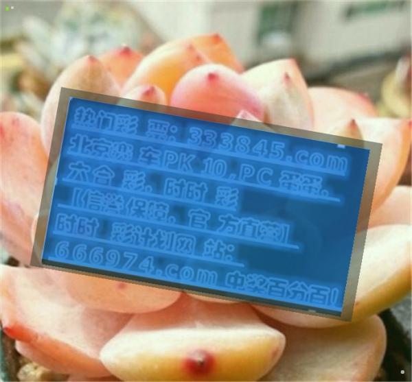管家婆一碼一肖100中獎(jiǎng),安全策略評(píng)估方案_敏捷版SRX459.12