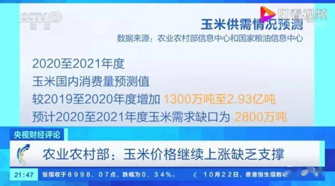 長治玉米最新價格查詢攻略，步驟指南