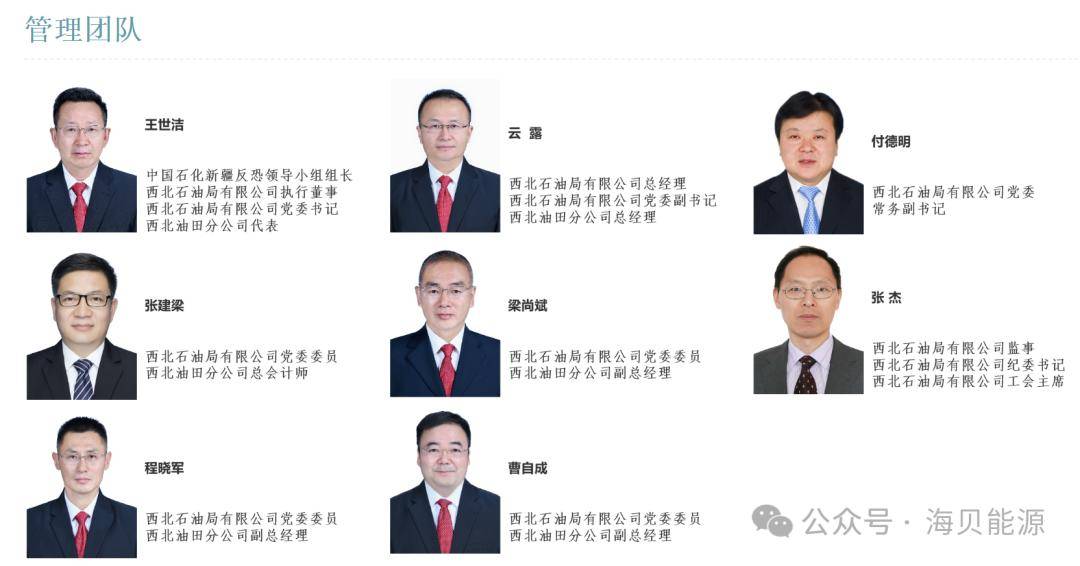 中石油最新領(lǐng)導(dǎo)名錄，心靈與自然的和諧之旅