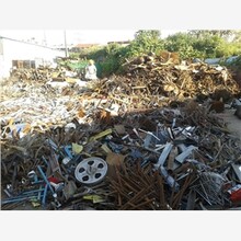 中國廢品網(wǎng)最新行情下的溫情日常概覽