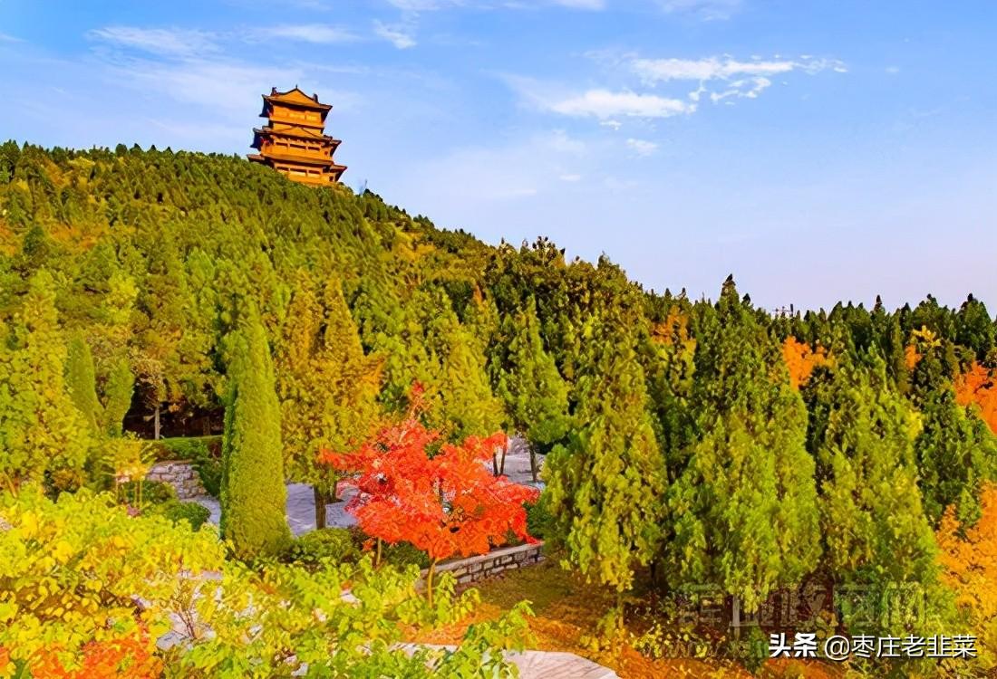 薛城最新房?jī)r(jià)動(dòng)態(tài)，共同的學(xué)習(xí)與成長(zhǎng)之旅中的變化風(fēng)景