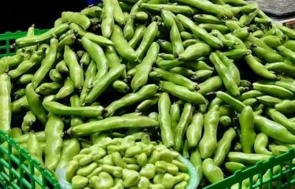 上海蠶豆價(jià)格最新動(dòng)態(tài)更新