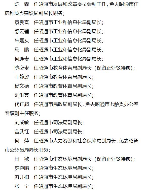 巧家最新人事任免，小巷深處的獨特風味揭曉