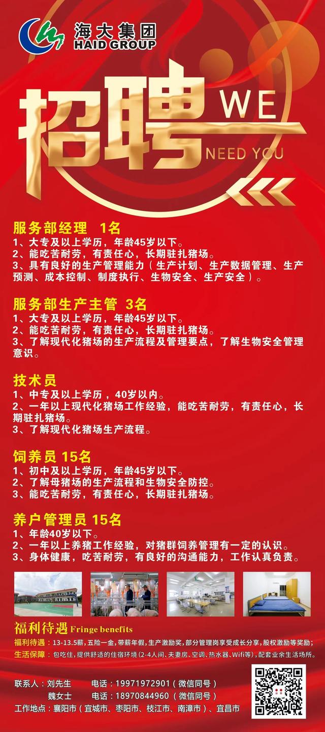 盛源最新招聘，啟程探索自然美景，尋找內心寧靜之旅