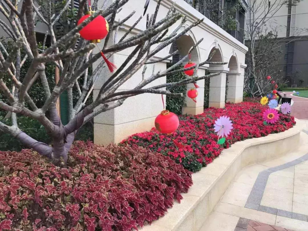 泉州最新樓盤價格，時代印記與城市的脈動