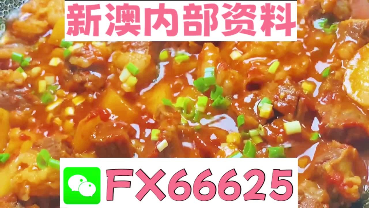 新奧門官方免費旅游資料大全，數(shù)據(jù)解析版ZCR355.17