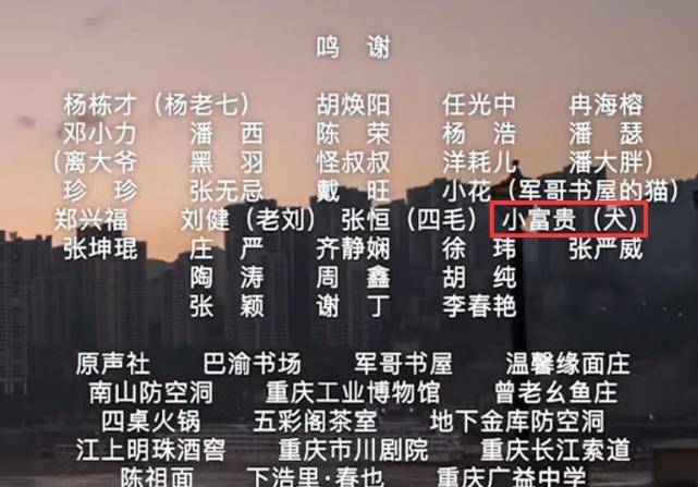 最準一碼一肖100%精準老錢莊揭秘,專業(yè)執(zhí)行問題_測試版144.21