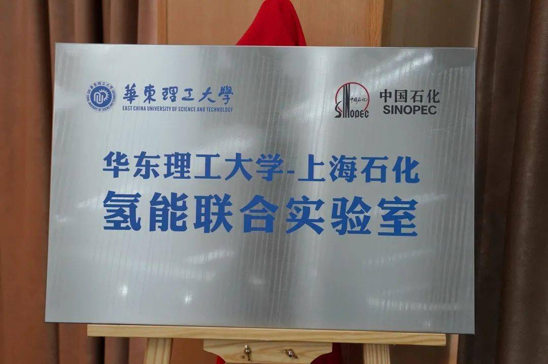 金山石化最新招聘信息揭秘！