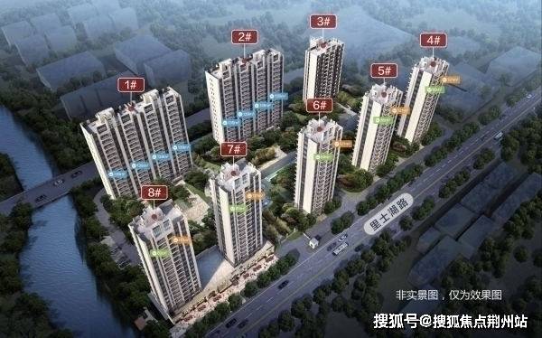 管家婆204年官方正版數(shù)據(jù)寶典，詳盡解析LYN7.07版