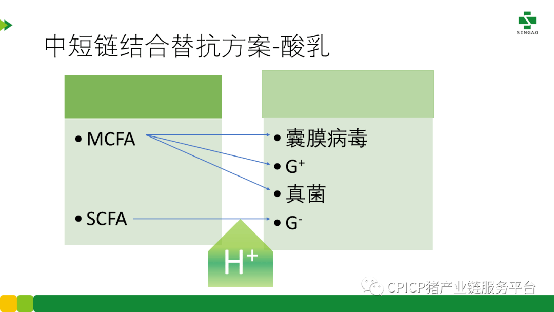 新奧門特免費資料大全1983年,安全設(shè)計策略解析_解謎版KWF366.85