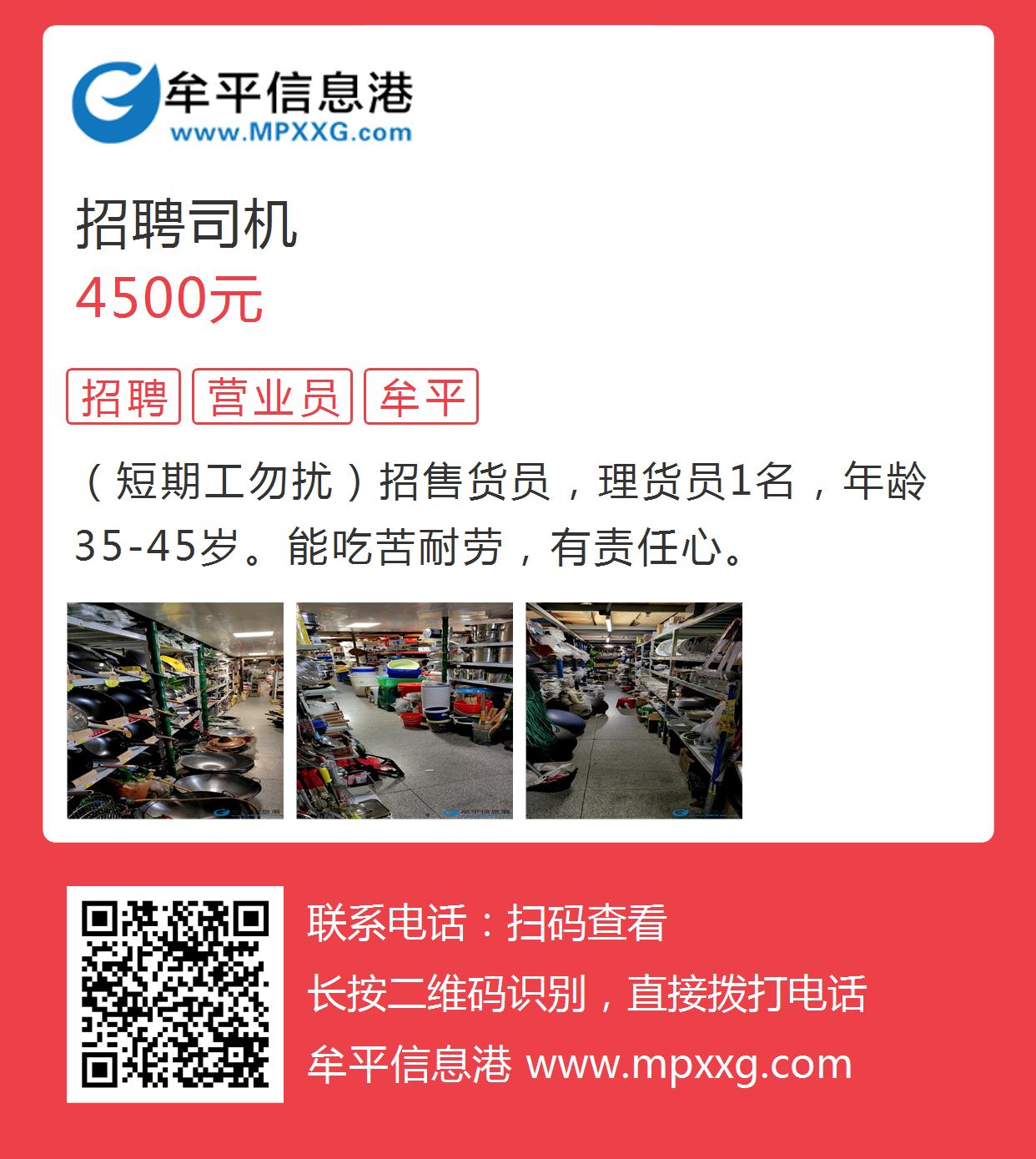 茌平招工最新信息港，深度解讀與最新招工信息匯總