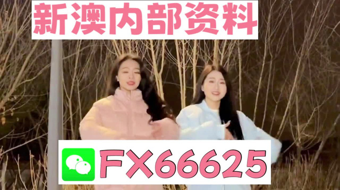 管家婆最準(zhǔn)一碼一肖,素材動態(tài)方案解答_可變版35.97