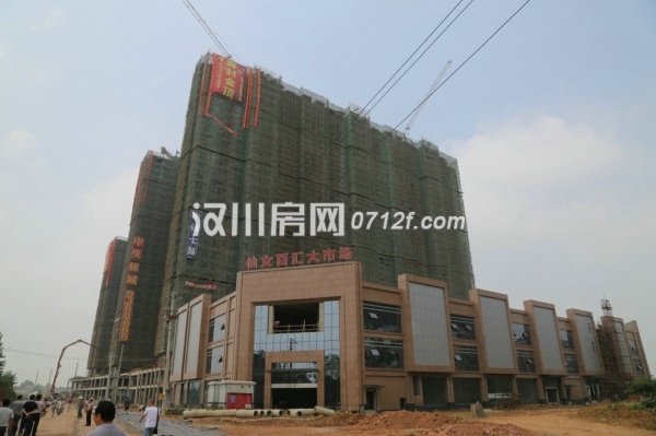 漢川中洲最新動態(tài)，自然美景探索之旅，尋覓內(nèi)心寧靜的旅程
