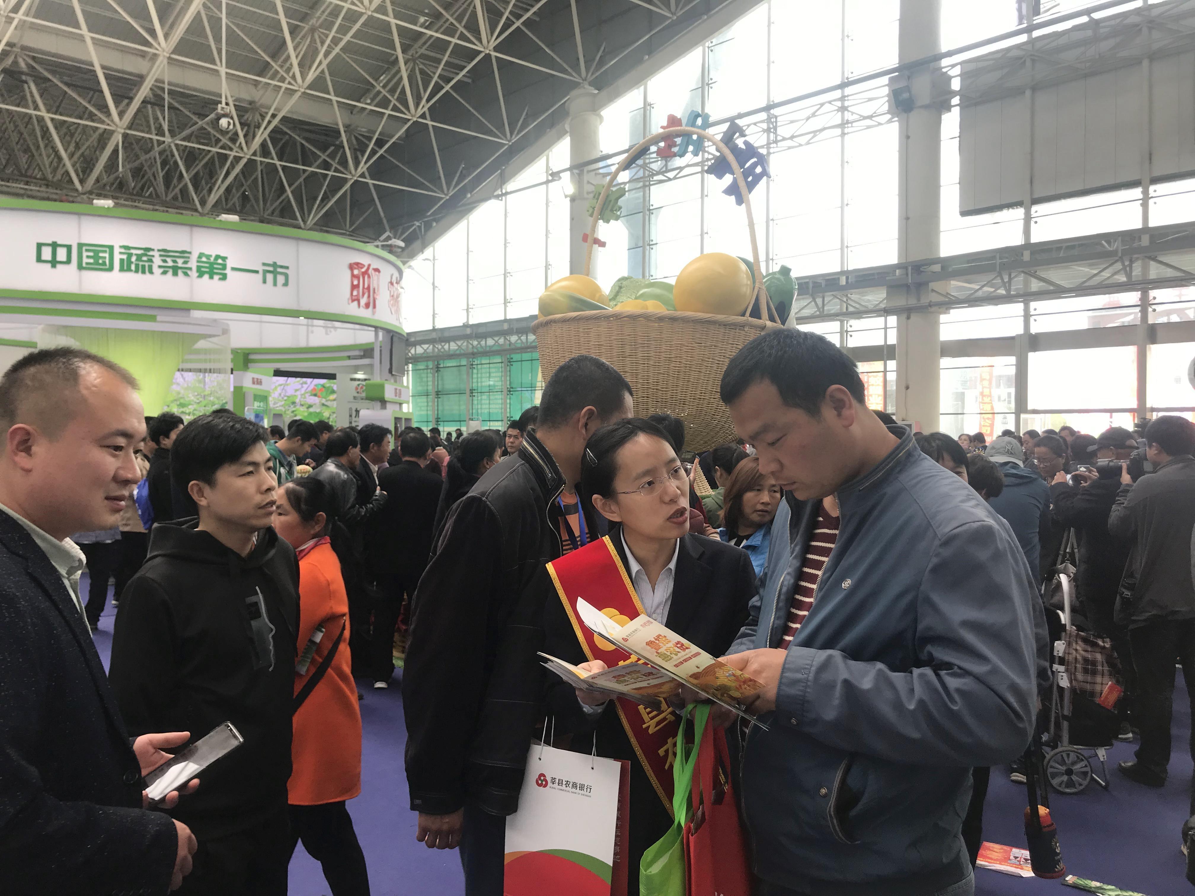 合家金融最新動態(tài)發(fā)布，最新消息匯總????